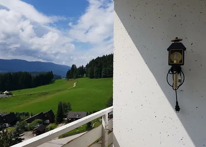 Mountain View 公寓 巴德米滕多夫